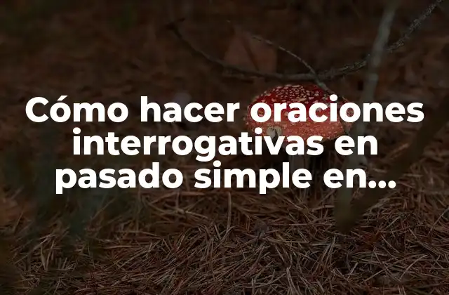 Cómo Hacer Oraciones Interrogativas en Pasado Simple en Inglés