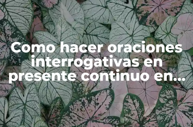 Como Hacer Oraciones Interrogativas en Presente Continuo en Inglés
