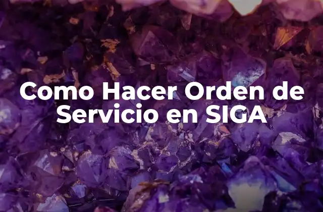 Como Hacer Orden de Servicio en Siga