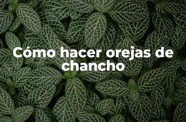 Cómo Hacer Orejas de Chancho