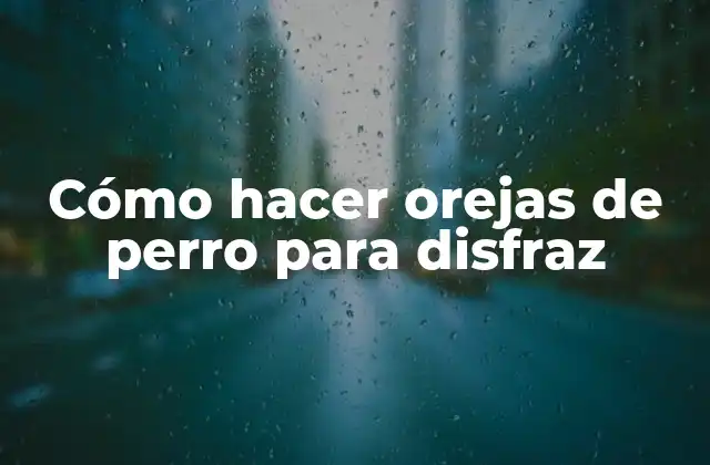 ¿Qué son las orejas de perro para disfraz?
