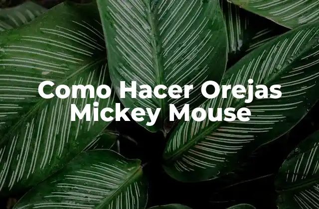 Como Hacer Orejas Mickey Mouse