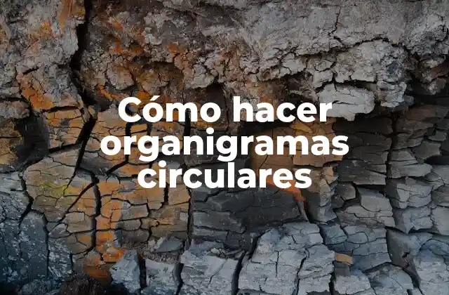 Cómo Hacer Organigramas Circulares