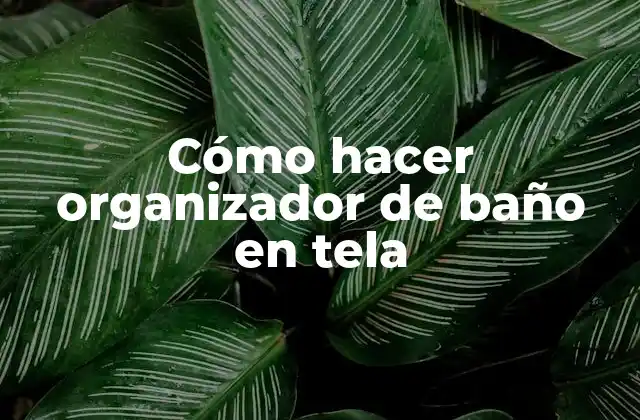 Cómo Hacer Organizador de Baño en Tela