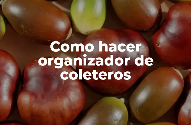 Como Hacer Organizador de Coleteros