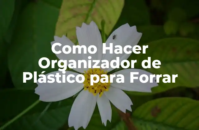 Como Hacer Organizador de Plástico para Forrar