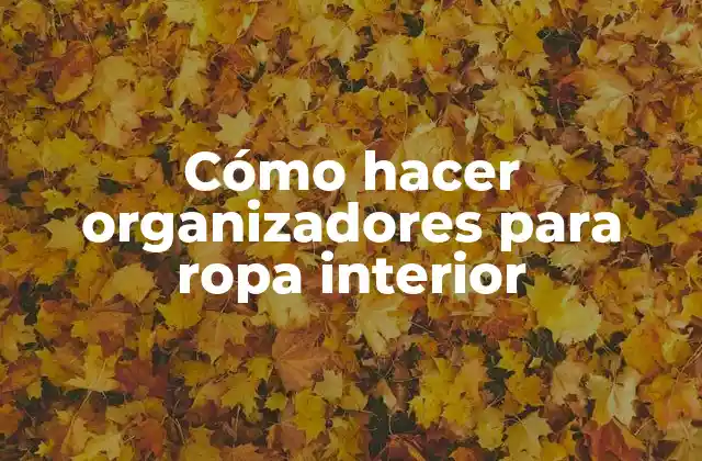 Cómo Hacer Organizadores para Ropa Interior