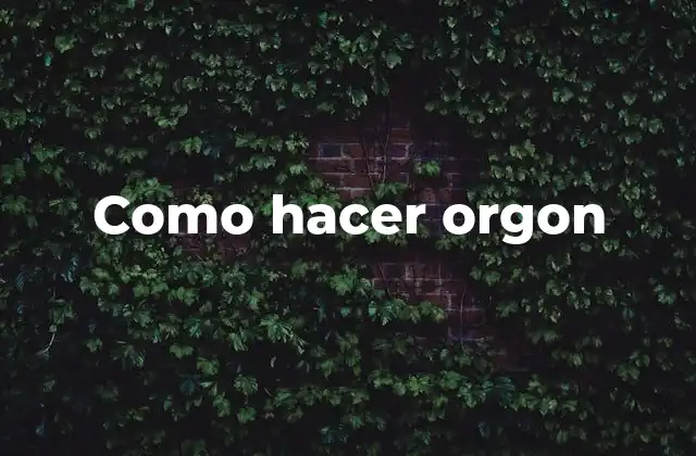 Como Hacer Orgon