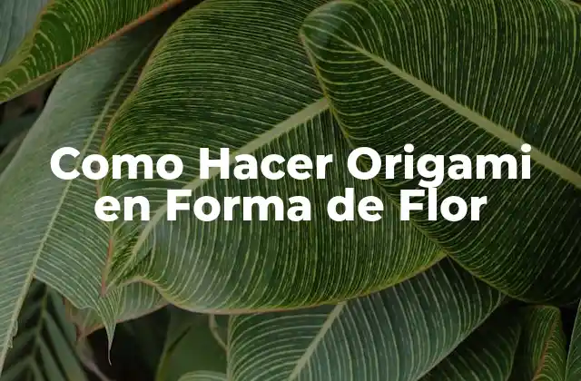 Como Hacer Origami en Forma de Flor