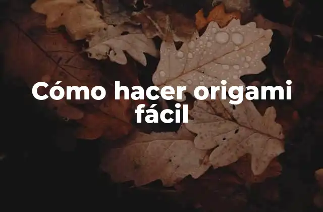 Cómo Hacer Origami Fácil