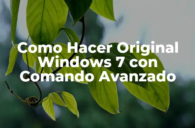 Como Hacer Original Windows 7 con Comando Avanzado