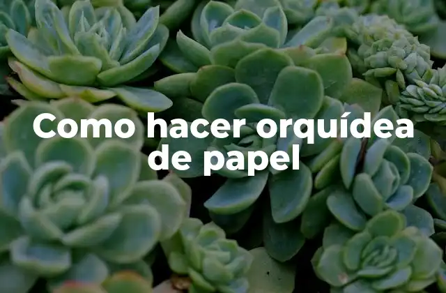 Como Hacer Orquídea de Papel 2 Orquídea de papel: una decoración hermosa y delicada