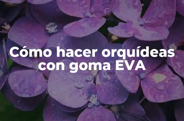 Cómo Hacer Orquídeas con Goma Eva 2 Cómo hacer orquídeas con goma EVA