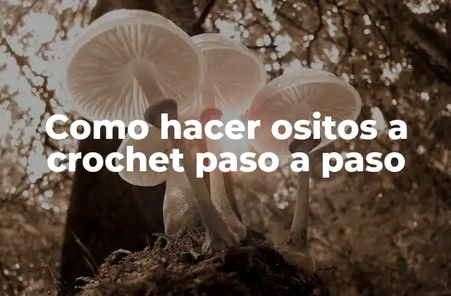 Como Hacer Ositos a Crochet Paso a Paso