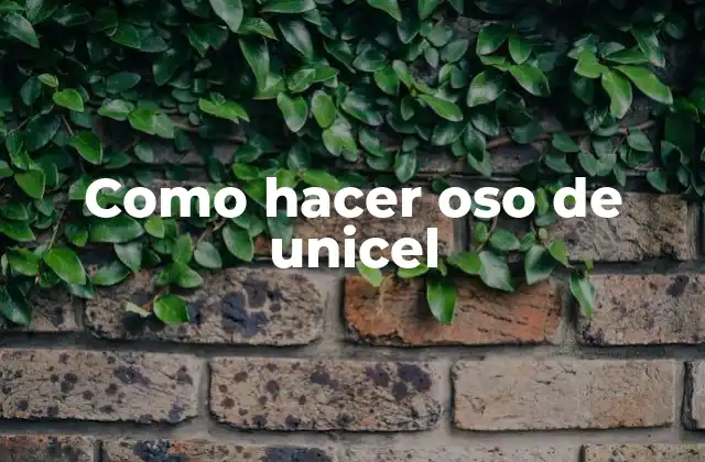 Como Hacer Oso de Unicel