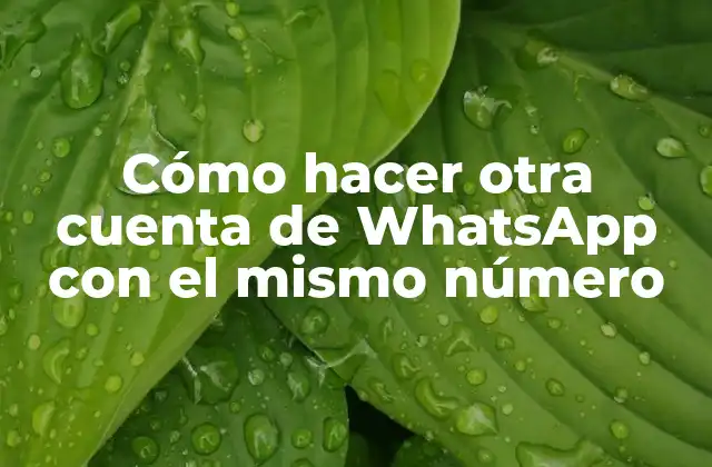 Cómo Hacer Otra Cuenta de Whatsapp con el Mismo Número