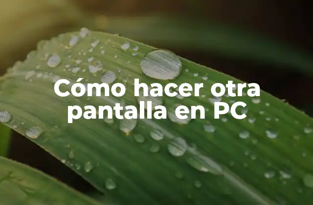 Cómo Hacer Otra Pantalla en Pc
