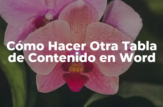 Cómo Hacer Otra Tabla de Contenido en Word