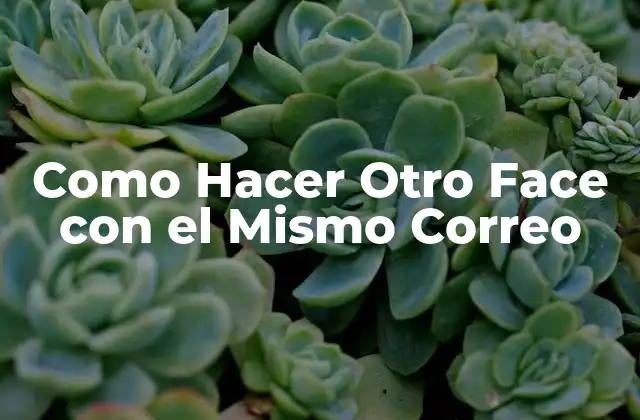 Como Hacer Otro Face con el Mismo Correo