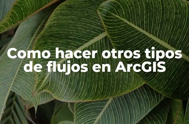 Como Hacer Otros Tipos de Flujos en Arcgis