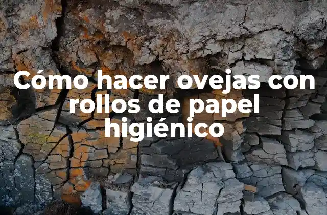 Cómo Hacer Ovejas con Rollos de Papel Higiénico