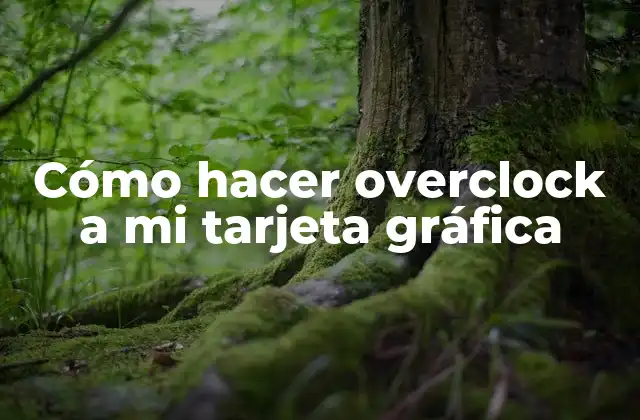 Cómo Hacer Overclock a Mi Tarjeta Gráfica