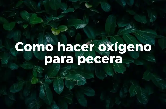 Como Hacer Oxígeno para Pecera