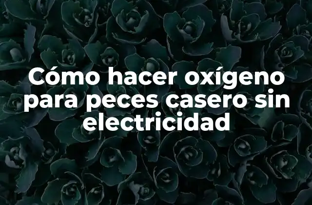Cómo Hacer Oxígeno para Peces Casero sin Electricidad