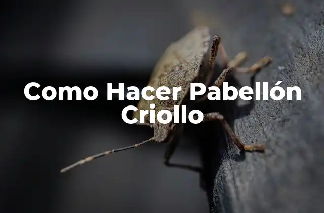 Como Hacer Pabellón Criollo