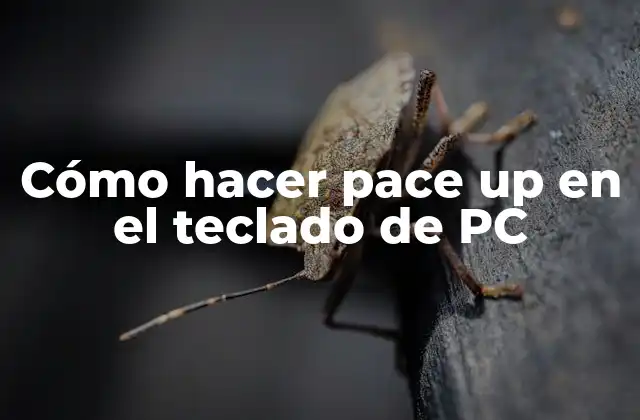 Cómo Hacer Pace Up en el Teclado de Pc