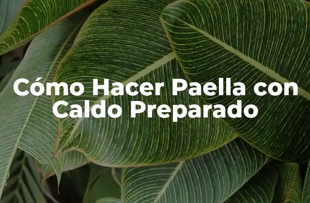 Cómo Hacer Paella con Caldo Preparado