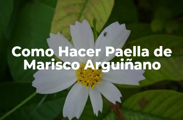 Como Hacer Paella de Marisco Arguiñano