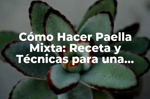 Cómo Hacer Paella Mixta: Receta y Técnicas para una Auténtica Delicia Española