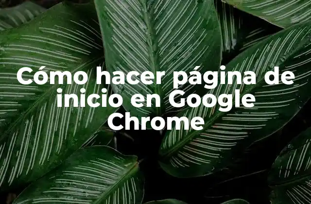 Cómo Hacer Página de Inicio en Google Chrome
