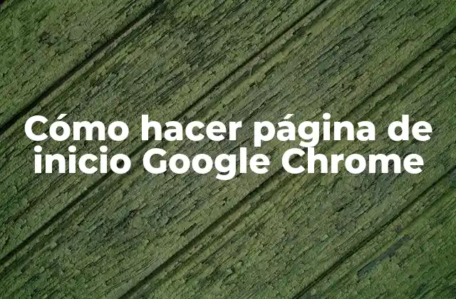 Cómo Hacer Página de Inicio Google Chrome 2 Cómo hacer página de inicio Google Chrome
