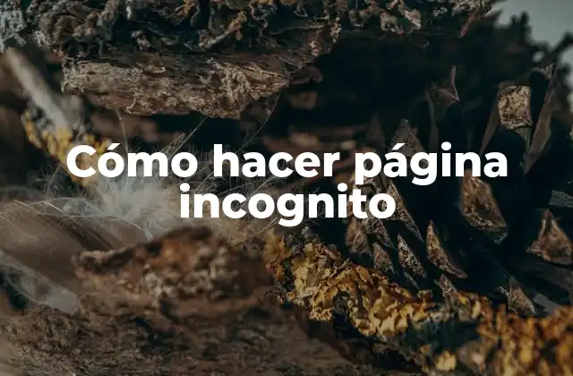 Cómo Hacer Página Incognito