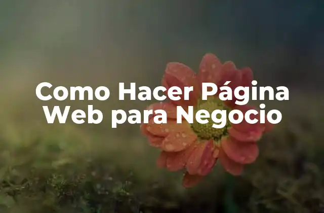 Como Hacer Página Web para Negocio