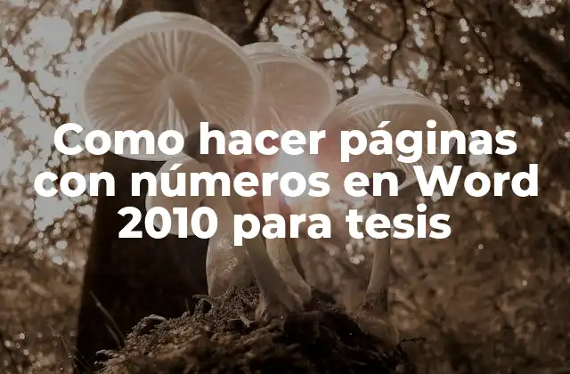 Como Hacer Páginas con Números en Word 2010 para Tesis