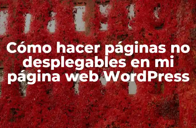 Cómo Hacer Páginas No Desplegables en Mi Página Web WordPress