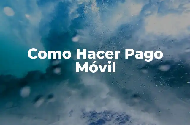 Como Hacer Pago Móvil
