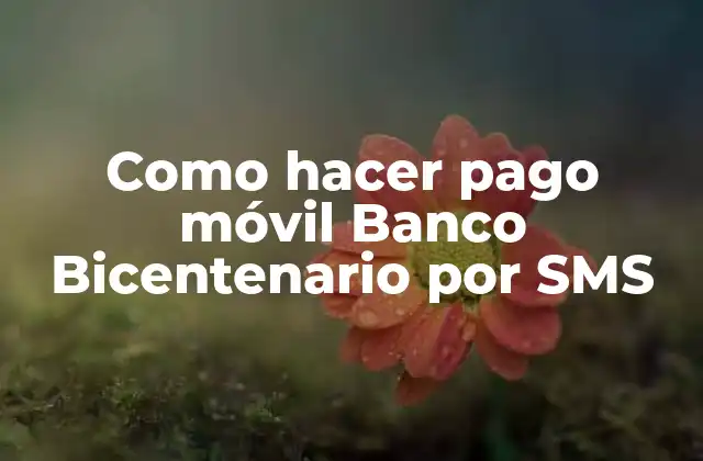 Como Hacer Pago Móvil Banco Bicentenario por Sms