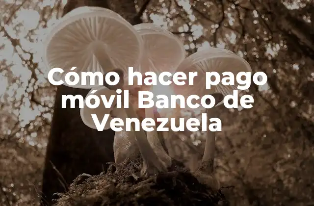 Cómo Hacer Pago Móvil Banco de Venezuela