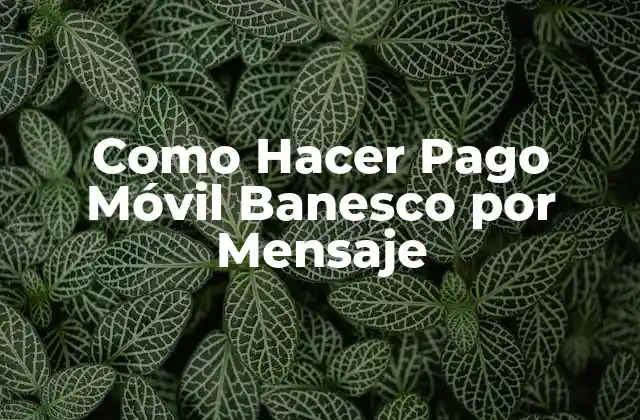 Como Hacer Pago Móvil Banesco por Mensaje