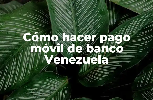 Cómo Hacer Pago Móvil de Banco Venezuela
