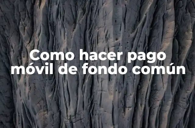 Como Hacer Pago Móvil de Fondo Común