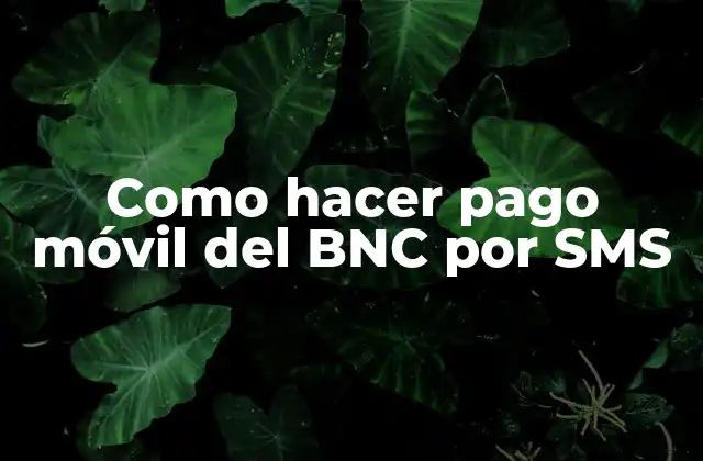 Como Hacer Pago Móvil Del Bnc por Sms
