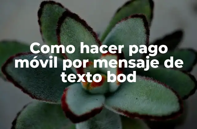 Como Hacer Pago Móvil por Mensaje de Texto Bod