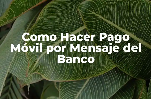 Como Hacer Pago Móvil por Mensaje Del Banco