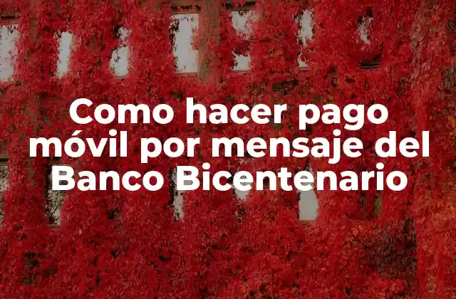 Como Hacer Pago Móvil por Mensaje Del Banco Bicentenario