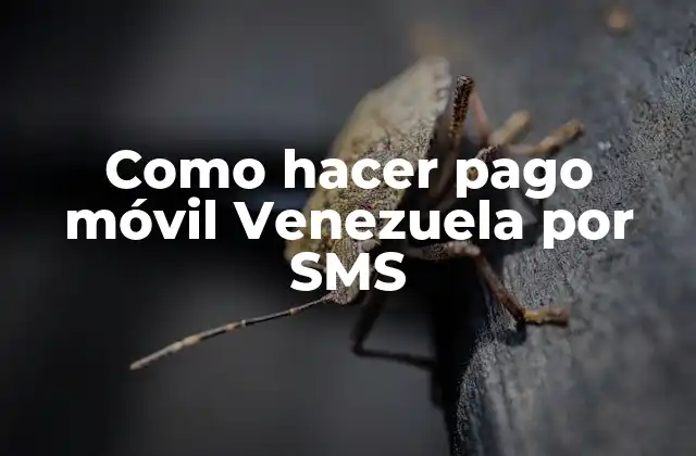 Como Hacer Pago Móvil Venezuela por Sms